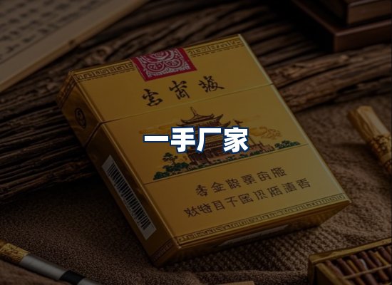 专业团队办公环境